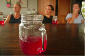 water kefir