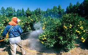 Removing Pesticides